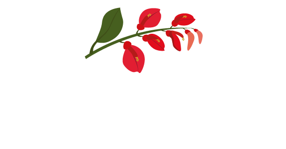 Rieko Tours