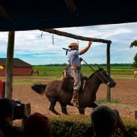 Gaucho festival