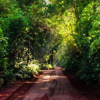 Red soil trail