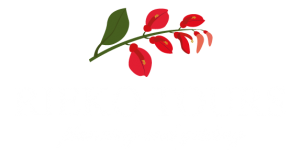 riekotours_b